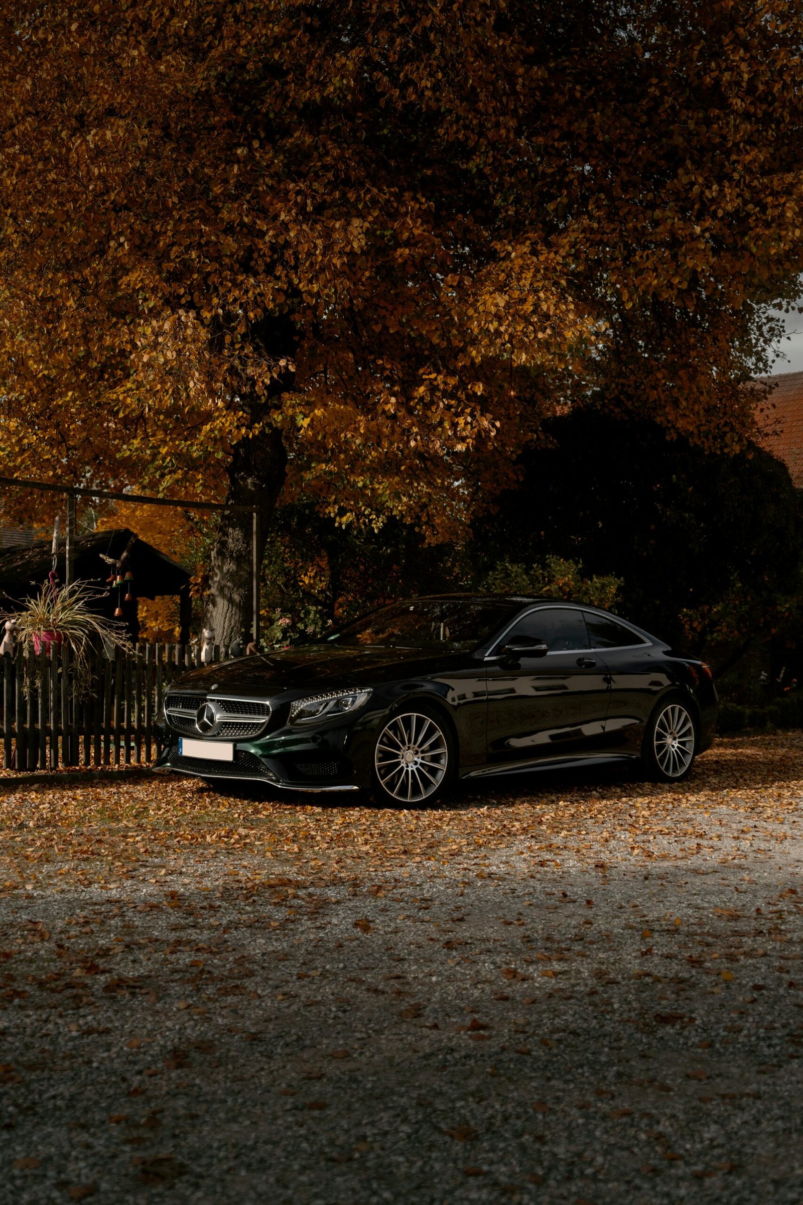 A sleek black car elegantly parked under golden autumn trees in Munich, Germany.